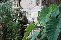 IMG 0689