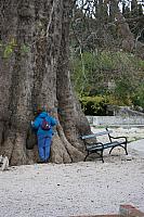 IMG 0706
