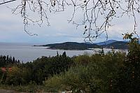 IMG 0710