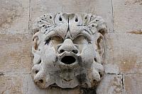 IMG 0738