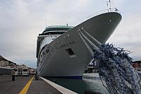 IMG 0755