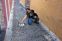 IMG 0941