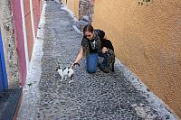 IMG 0942