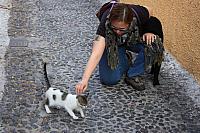IMG 0943