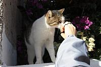 IMG 0971