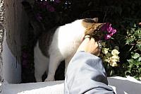 IMG 0972