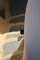 IMG 0990