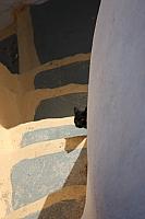 IMG 0991