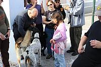IMG 1008