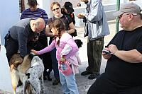 IMG 1009