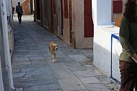 IMG 1010