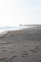 IMG 1017