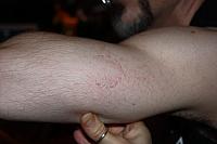 IMG 1073