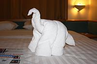 IMG 1106