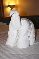 IMG 1107