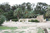 IMG 1115
