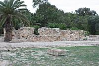 IMG 1116