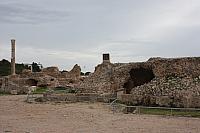 IMG 1118