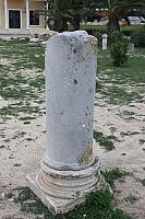 IMG 1119