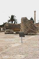 IMG 1133