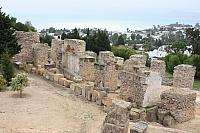 IMG 1151