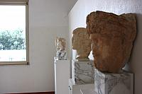 IMG 1172