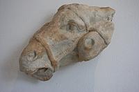 IMG 1175