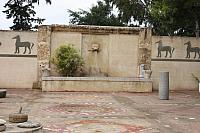 IMG 1184