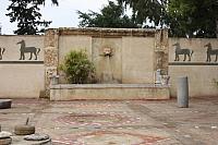 IMG 1185