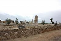 IMG 1186