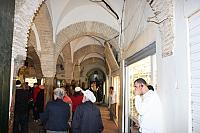 IMG 1194