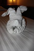 IMG 1257