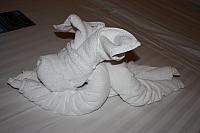 IMG 1258