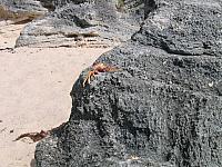 IMG 3811