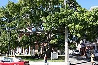 IMG 3082