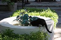 IMG 3083
