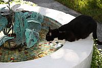 IMG 3084