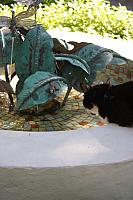 IMG 3085