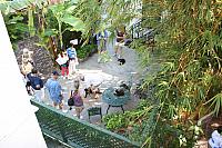 IMG 3086