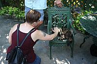 IMG 3087