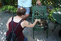 IMG 3088