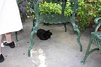 IMG 3090