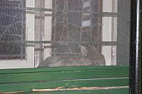 IMG 3091