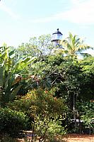 IMG 3098