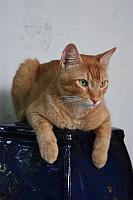 IMG 3102