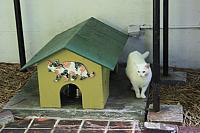 IMG 3103