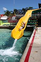IMG 3203
