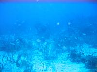 IMG 4886