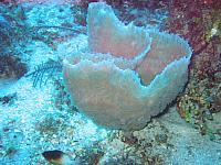 IMG 4897