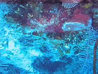 IMG 4898